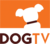 DOGTV